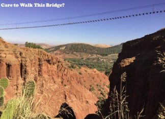One Thrilling Experience That Made Me Conquer My Fears