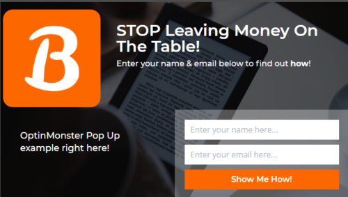 Example of an Opt-In Form from OptinMonster
