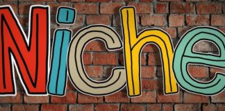 Image showing "Niche" letters against a brick wall background. Choosing Your Blogging Niche.
