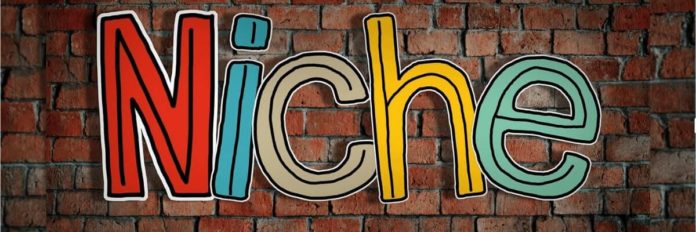 Image showing "Niche" letters against a brick wall background. Choosing Your Blogging Niche.
